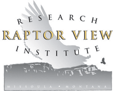 Raptor View Logo