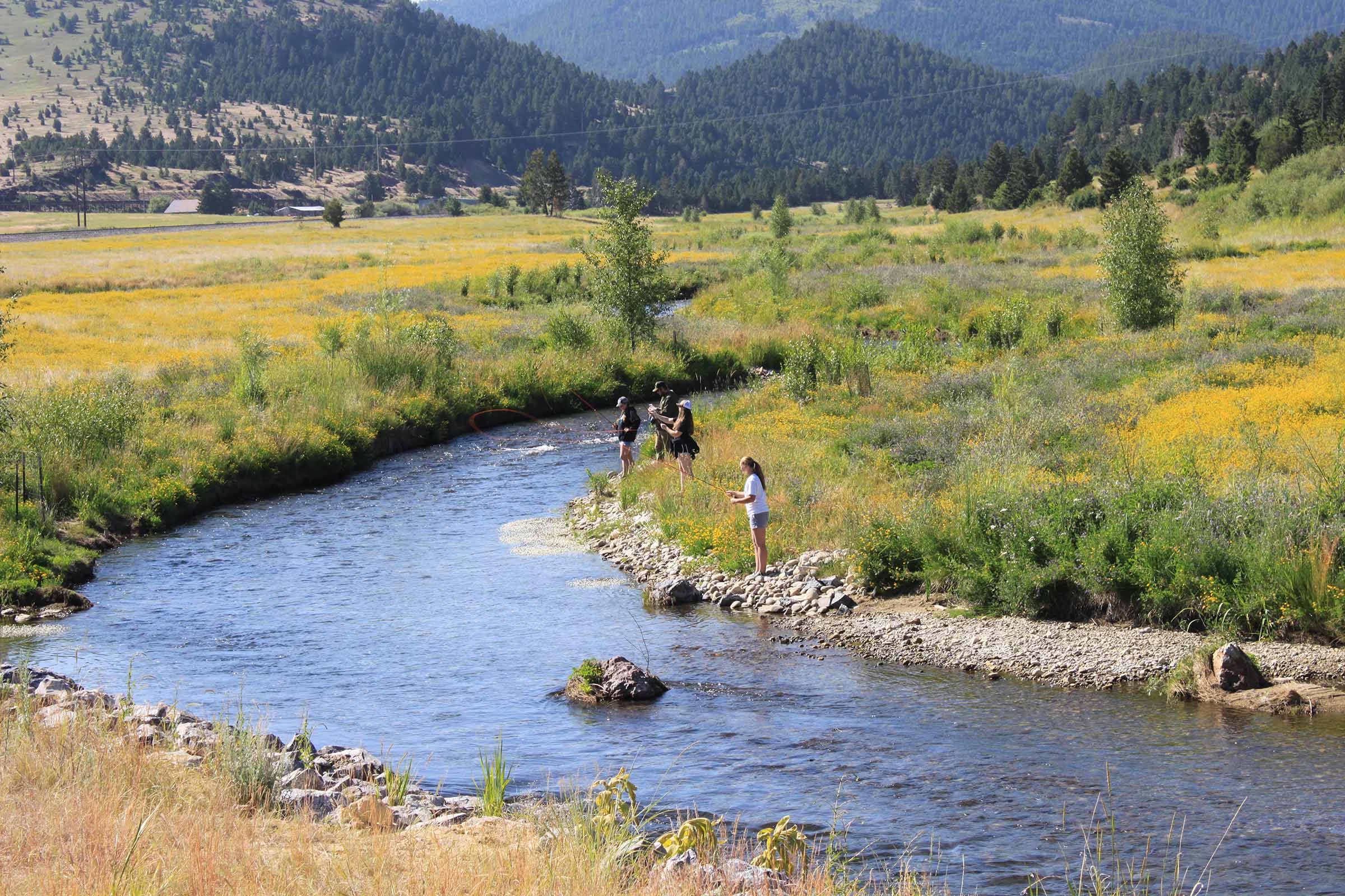 Students fly fishing on Silver Bow Creek