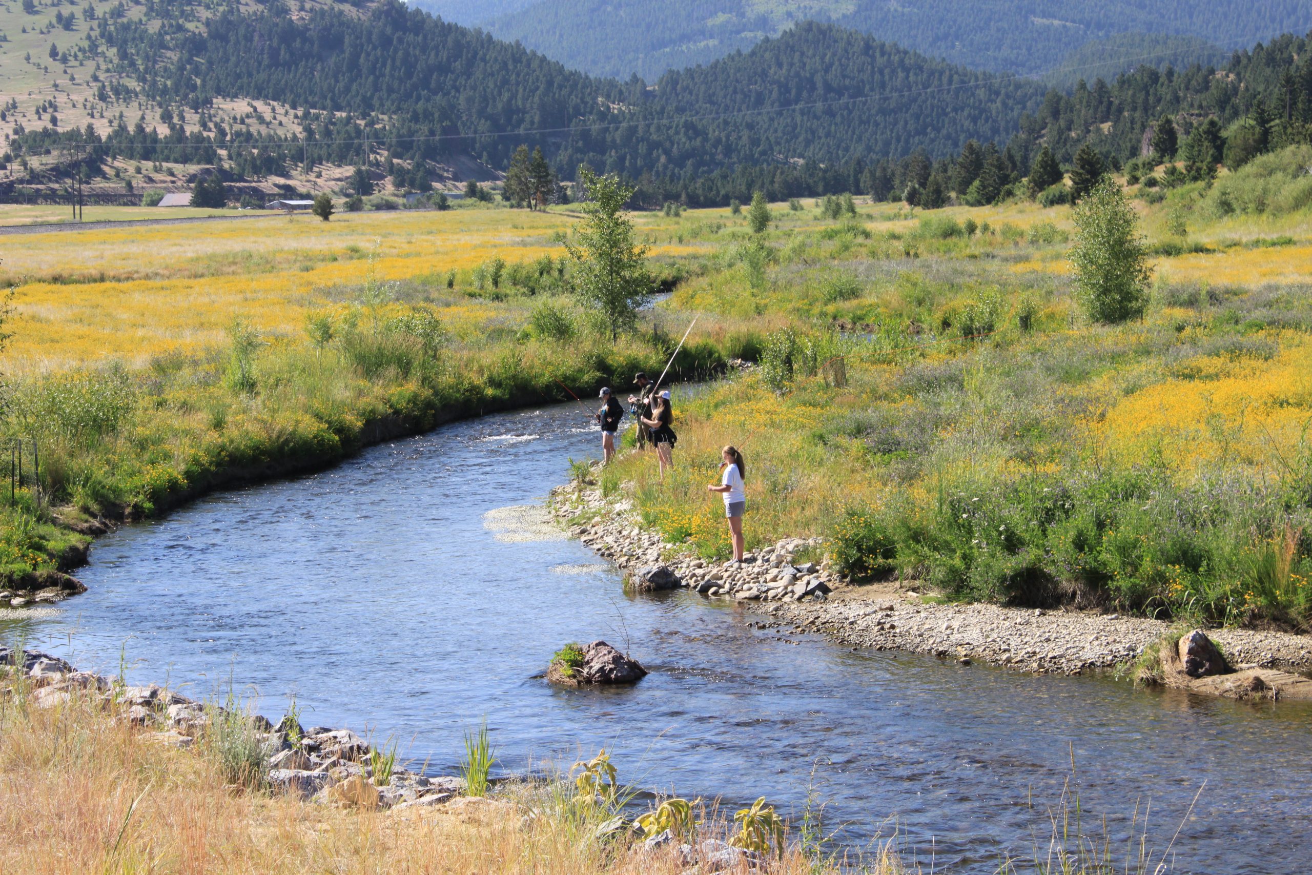 Students fly fishing on Silver Bow Creek